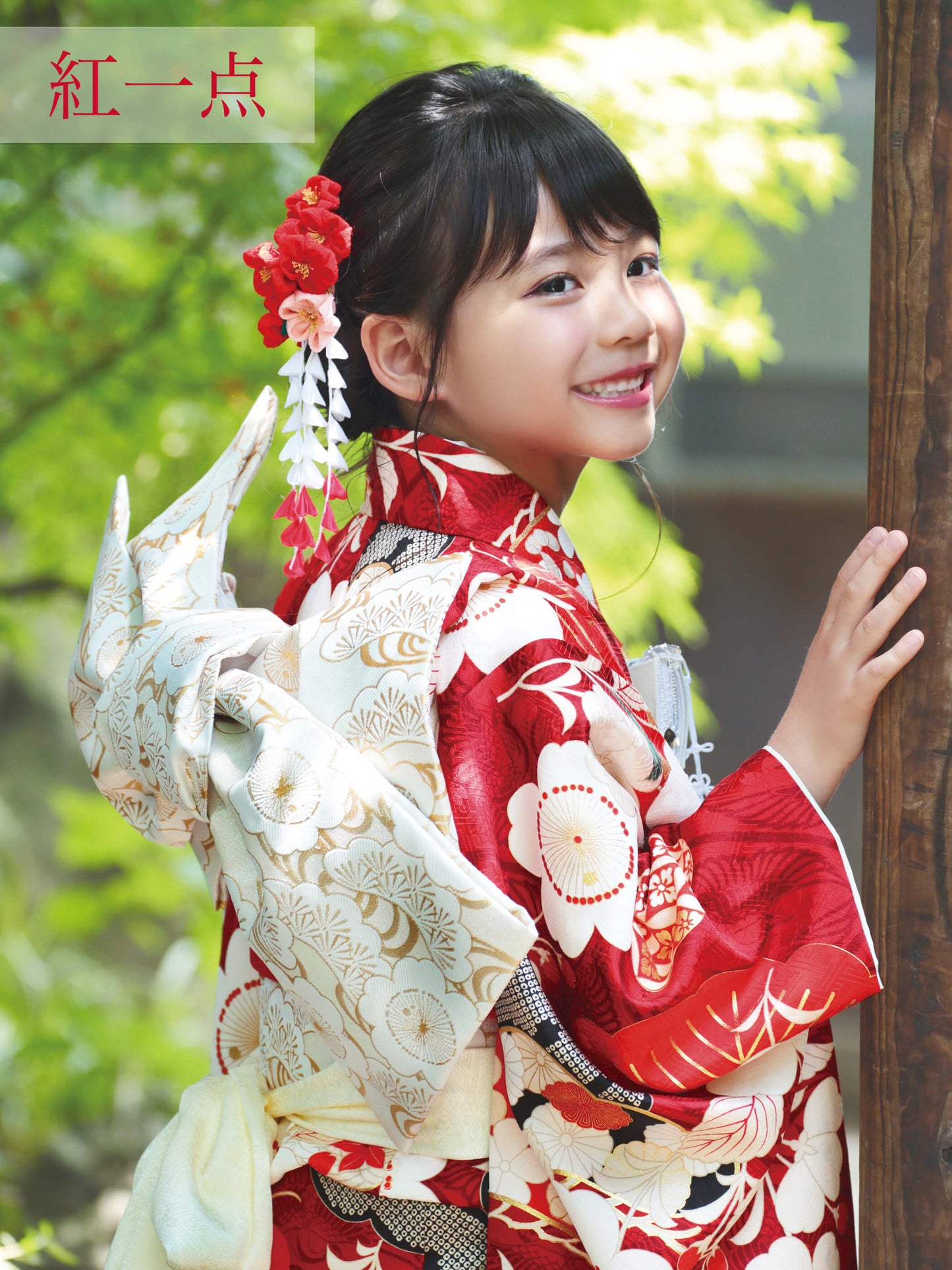 S0718 桜に松(赤) 【七五三着物レンタル】