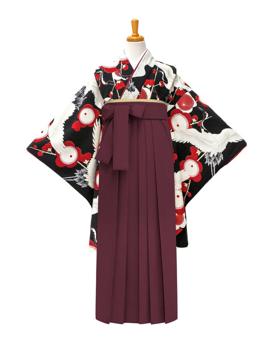 小学生 卒業袴 レンタル 女の子|梅鶴 黒 C0017|フルセット